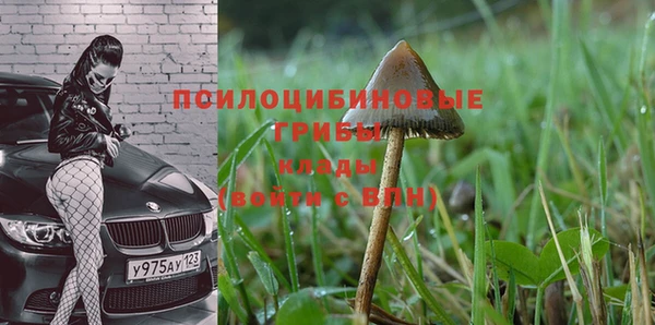 соль курить ск Белокуриха