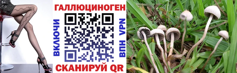 где можно купить наркотик  Высоковск  Галлюциногенные грибы Magic Shrooms 